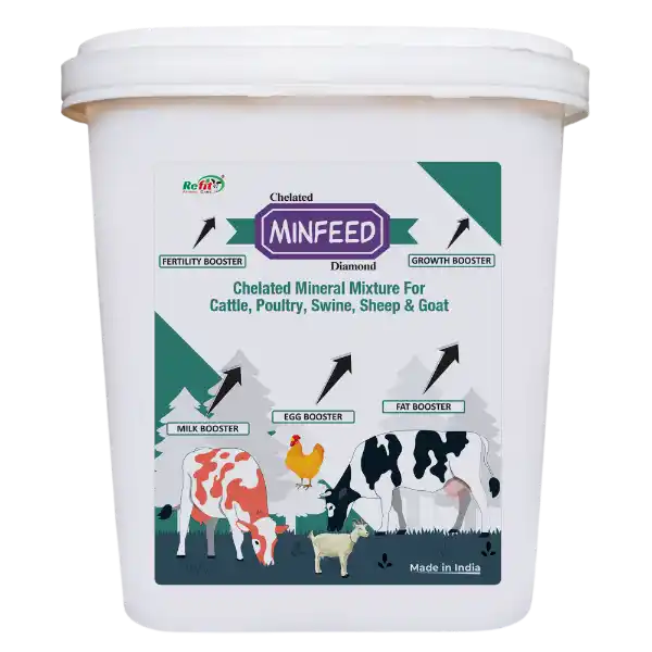 Minfeed Diamond Mineral Mixture