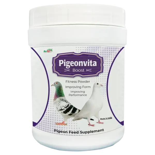 Prebiotics for pigeons