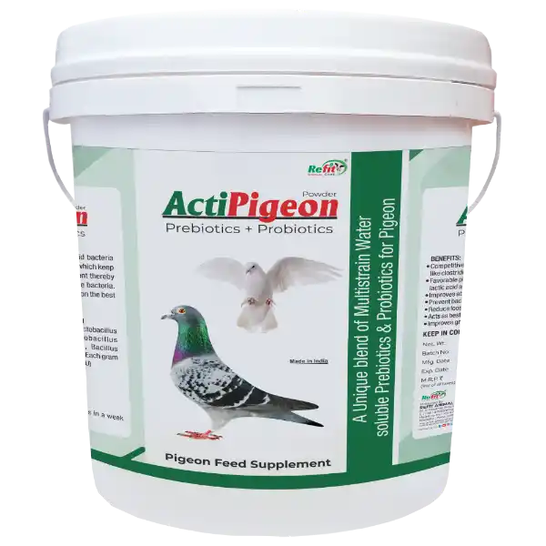 pigeon prebiotics and probiotic supplement