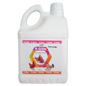 2 ltr 1