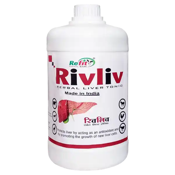 Rivliv - Herbal Liver Tonic For Cattle - 10 Ltr - Set of 4