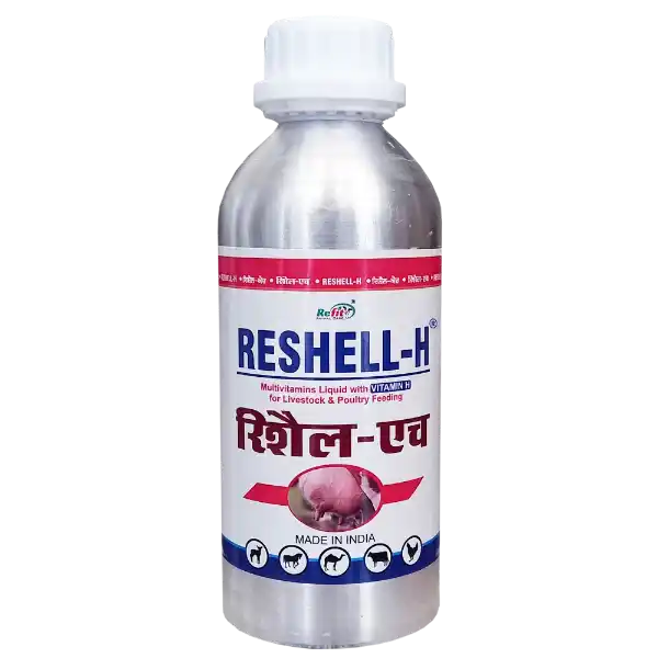 Reshell-H - Vitamin-H For Cattle & Poultry - 500 ml - Set of 20