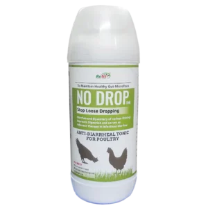 No Drop - Anti-Diarrheal Tonic For Poultry - 1 Ltr - Set of 12