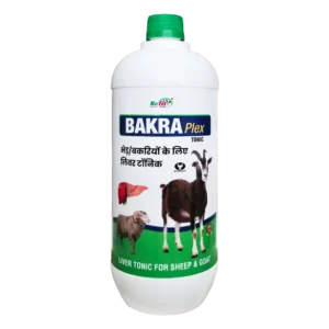Bakra Plex - Liver Tonic for Sheep & Goat - 1 Ltr - Set of 12