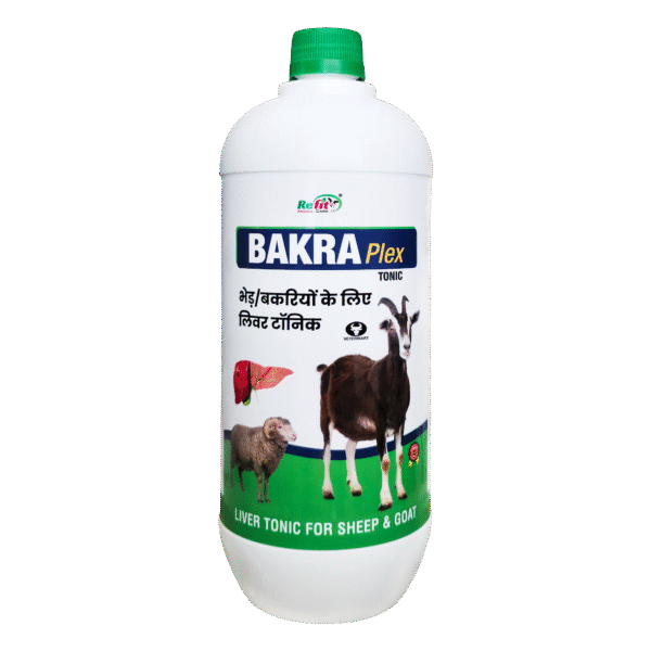 Bakra Plex - Liver Tonic for Sheep & Goat - 1 Ltr - Set of 12