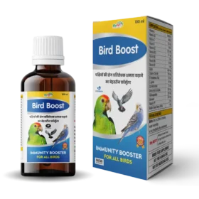 Bird Boost B