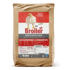 Broiler 25 Kg Bag