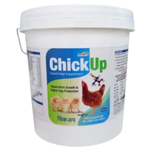 Chick Up - Chicks Growth Promoter - 10 Ltr - Set of 4