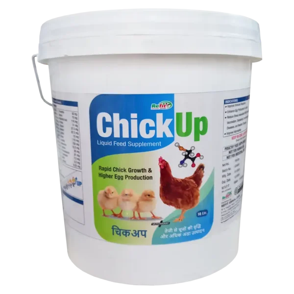 Chick Up - Chicks Growth Promoter - 10 Ltr - Set of 4