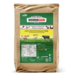Doodh Gain - Glycine Chelated Mineral Mixture For Cattle & Poulty - 25 Kg Bag - Set of 2