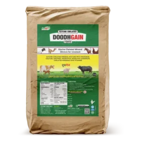 Doodh Gain 30 Kg Bag