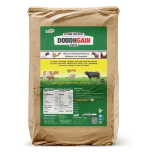 Doodh Gain - Glycine Chelated Mineral Mixture For Cattle & Poulty - 30 Kg Bag - Set of 2