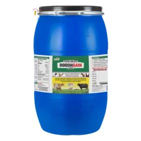Doodh Gain 40 Kg