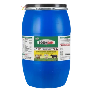 Doodh Gain - Glycine Chelated Mineral Mixture For Cattle & Poulty - 40 Kg Drum - Set of 2