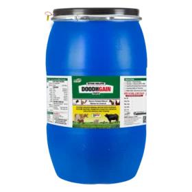 Doodh Gain 50 Kg