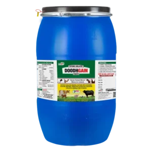 Doodh Gain - Glycine Chelated Mineral Mixture For Cattle & Poulty - 50 Kg - Set of 2