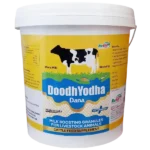 Doodh Yodha Dana - Milk Boosting Granules For Cattle - 10 Kg - Set of 4