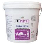 Fitphyte Granules - Phytase Enzyme for Cattle, Poultry & Aqua - 10 Kg - Set of 4