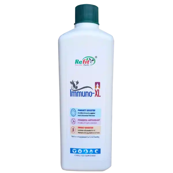 Immuno-XL - Energy & Immunity Booster For Cattle - 1 Ltr (Set of 12)