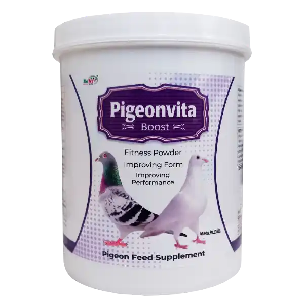 Pigeonvita Boost - Fitness Powder For Pigeons - 1 Kg - Set of 12