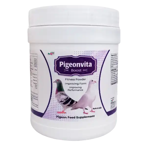 Pigeonvita Boost - Fitness Powder For Pigeons - 500 gm - Set of 30