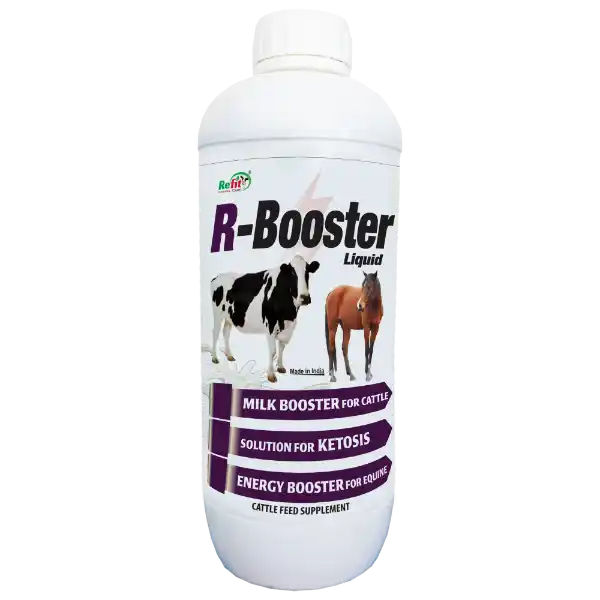 R-Booster - Energy & Milk Booster For Cattle - 1 Ltr (Set of 12)
