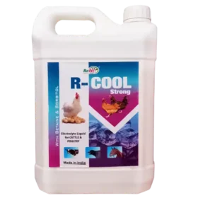 R Cool Liquid Elctrolyte Supplement 5 ltr