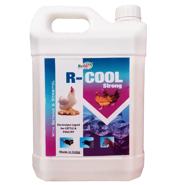 R-Cool Strong - Electrolyte Liquid For Cattle & Poultry - 5 Ltr - Set of 6