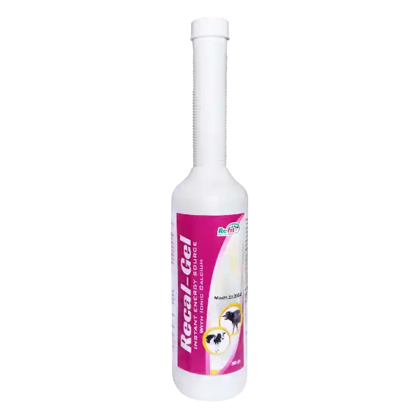 Recal Gel - Liquid Calcium Gel For Cattle - 300 gm (Set of 36)