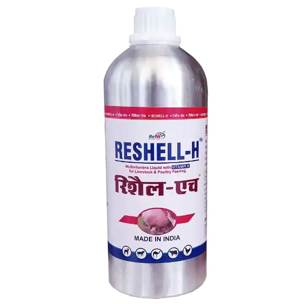 Reshell-H - Vitamin-H For Cattle & Poultry - 1 Ltr - Set of 12