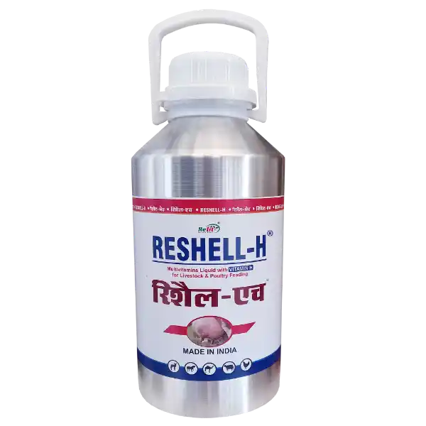 Reshell-H - Vitamin-H For Cattle & Poultry - 2.5 Ltr - Set of 8