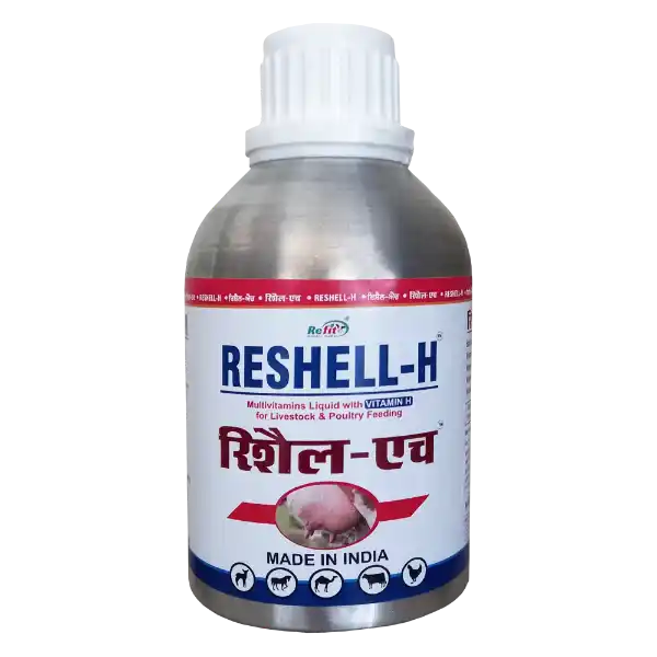 Reshell-H - Vitamin-H For Cattle & Poultry - 250 ml - Set of 35