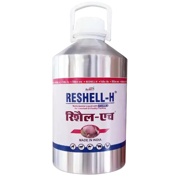 Reshell-H - Vitamin-H For Cattle & Poultry - 5 Ltr - Set of 4