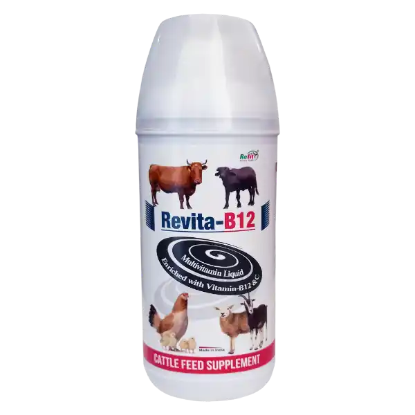 Revita-B12 - Vitamin B12 & C Liquid, Cattle & Poultry - 1 Ltr - Set of 12