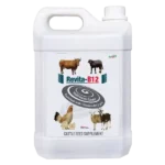 Revita-B12 - Vitamin B12 & C Liquid, Cattle & Poultry - 5 Ltr - Set of 6