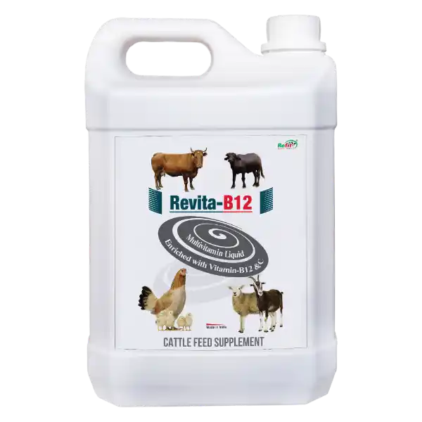 Revita-B12 - Vitamin B12 & C Liquid, Cattle & Poultry - 5 Ltr - Set of 6