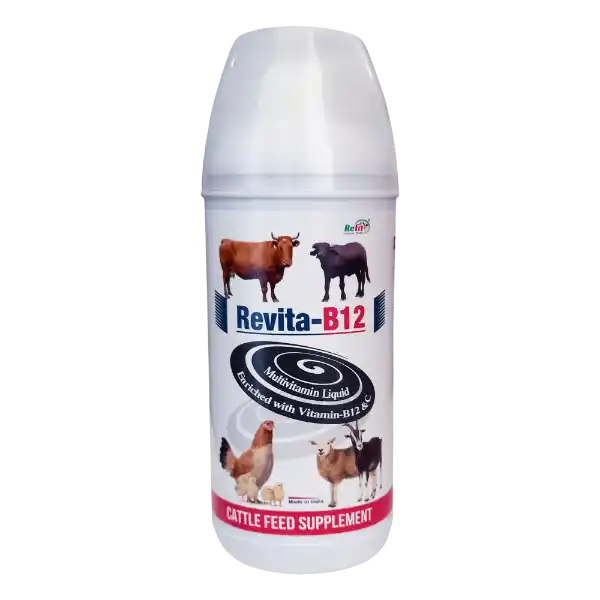 Revita-B12 - Vitamin B12 & C Liquid, Cattle & Poultry - 500 ml - Set of 20