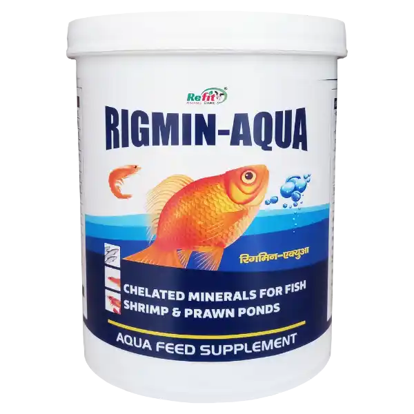 Rigmin-Aqua - Mineral Mixture For Fishes - 1 Kg - Set of 12
