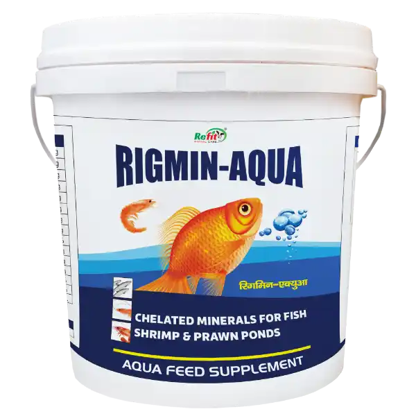 Rigmin-Aqua - Mineral Mixture For Fishes - 5 Kg - Set of 6
