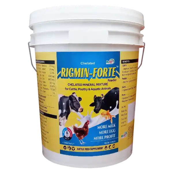 Rigmin Forte - Chelated Mineral Mixture For Cattle, Poultry & Aqua - 20 Kg - Set of 2