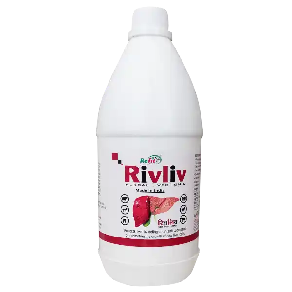 Rivliv - Herbal Liver Tonic For Cattle - 1 Ltr - Set of 16