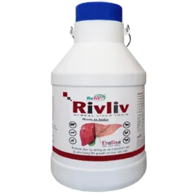 Rivliv - Herbal Liver Tonic For Cattle - 10 Ltr - Set of 4