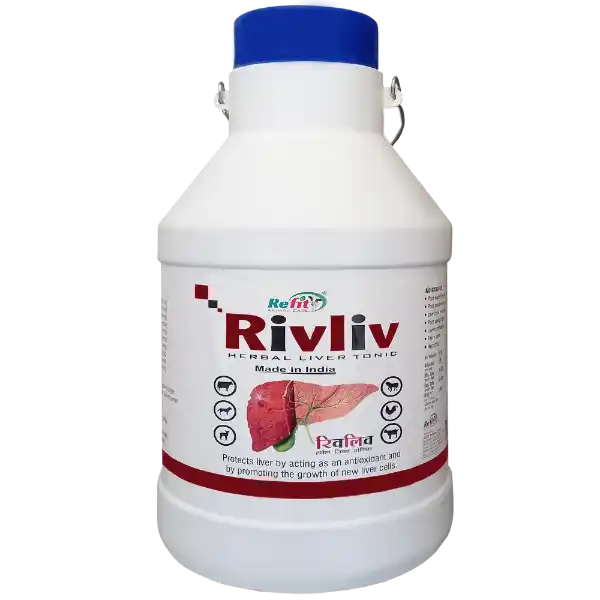 Rivliv - Herbal Liver Tonic For Cattle - 5 Ltr - Set of 4