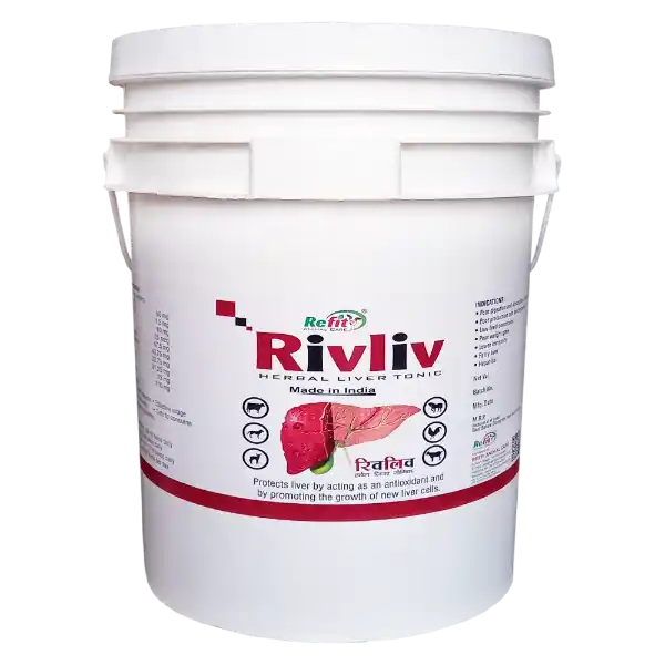 Rivliv - Herbal Liver Tonic For Cattle - 20 Ltr - Set of 2