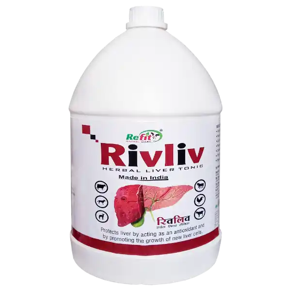 Rivliv - Herbal Liver Tonic For Cattle - 2 Ltr - Set of 8