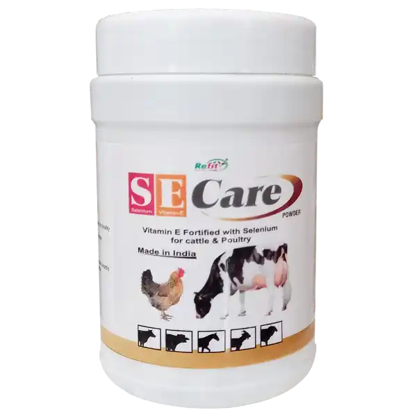 SE Care - Vitamin E & Selenium Powder For Cattle & Poultry - 200 gm (Set of 30)