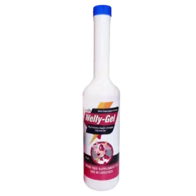 Welly Gel - Double Strength Calcium Gel For Cattle - 300 gm (Set of 42)