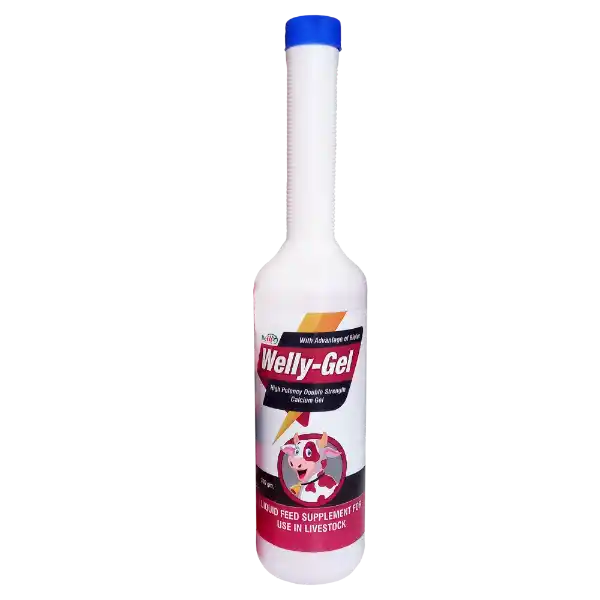 Welly Gel - Double Strength Calcium Gel For Cattle - 300 gm (Set of 42)