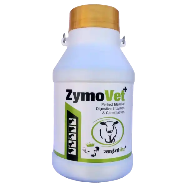 Zymovet+ - Digestive Enzyme Liquid For Cattle & Poultry - 5 Ltr - Set of 4