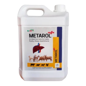 an ideal liver tonic for cattle